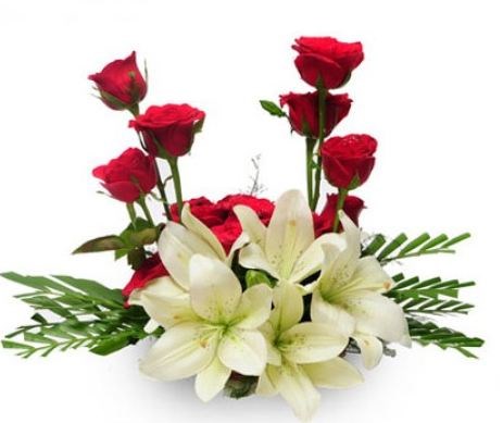 Websites: Flora Passion India