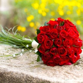 Websites: Flora Passion India